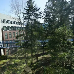 3* 度假村 Alpha Village Tomamu